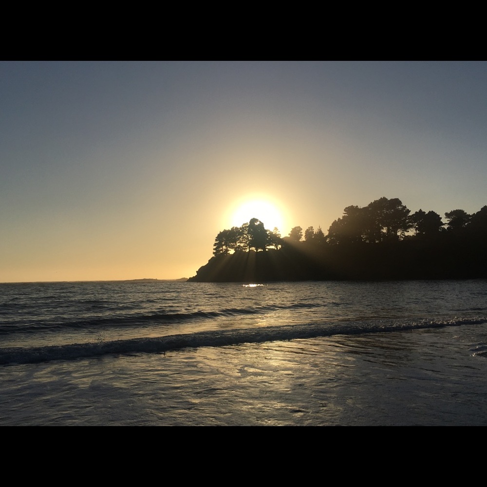 Meet your Posher, Charlyn